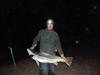 Mulloway 2